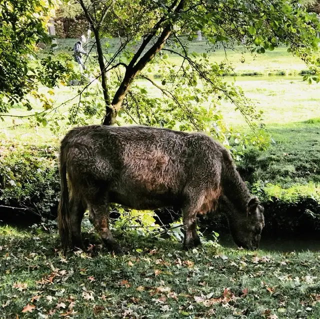 Cottage for 4 people in Walcourt Les Etangs du Francbois : Les Mélèzes
